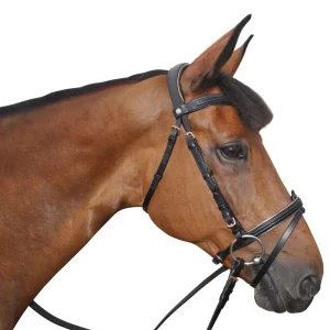 Bridon Canter Rosegold