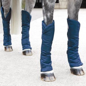 199_1.jpgv1622878632 Shires Guetres de Transport Sure