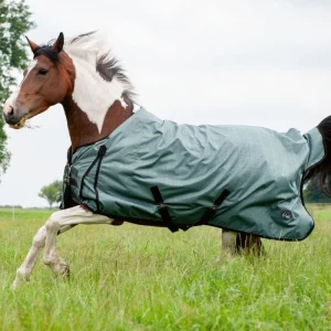 Couverture d'extérieur 200g - High Comfort