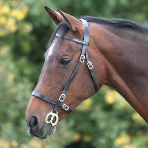 Shires Bridon de Presentation Simple