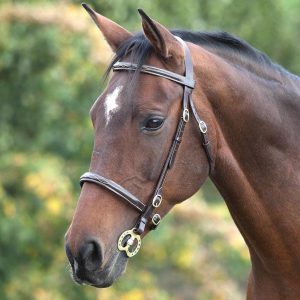 Shires Bridon de Presentation Fancy