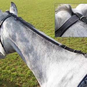 4250_1.jpgv1710460023 Shires Enrenement Anti-Basculement