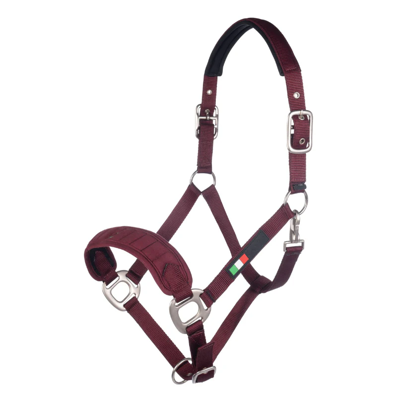 Licol HKM Livigno – Image 3