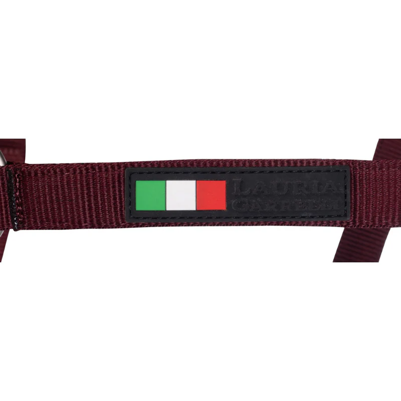 Licol HKM Livigno – Image 5