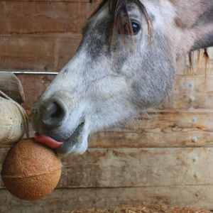 Aliment complémentaire - Endurance  UNIKA
