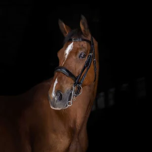 Bride ERIC THOMAS - Elite