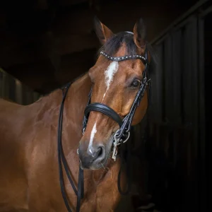 Bride ERIC THOMAS - Hybride