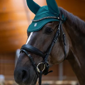 Bridon -Livigno- HKM