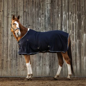 Chemise EQUITHÈME - Micro mesh