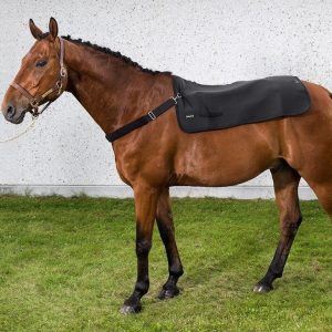 Chauffe dos chevaux Back On Track noir 100x100cm