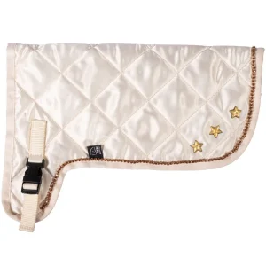 Couverture - Hobby Horsing Premium