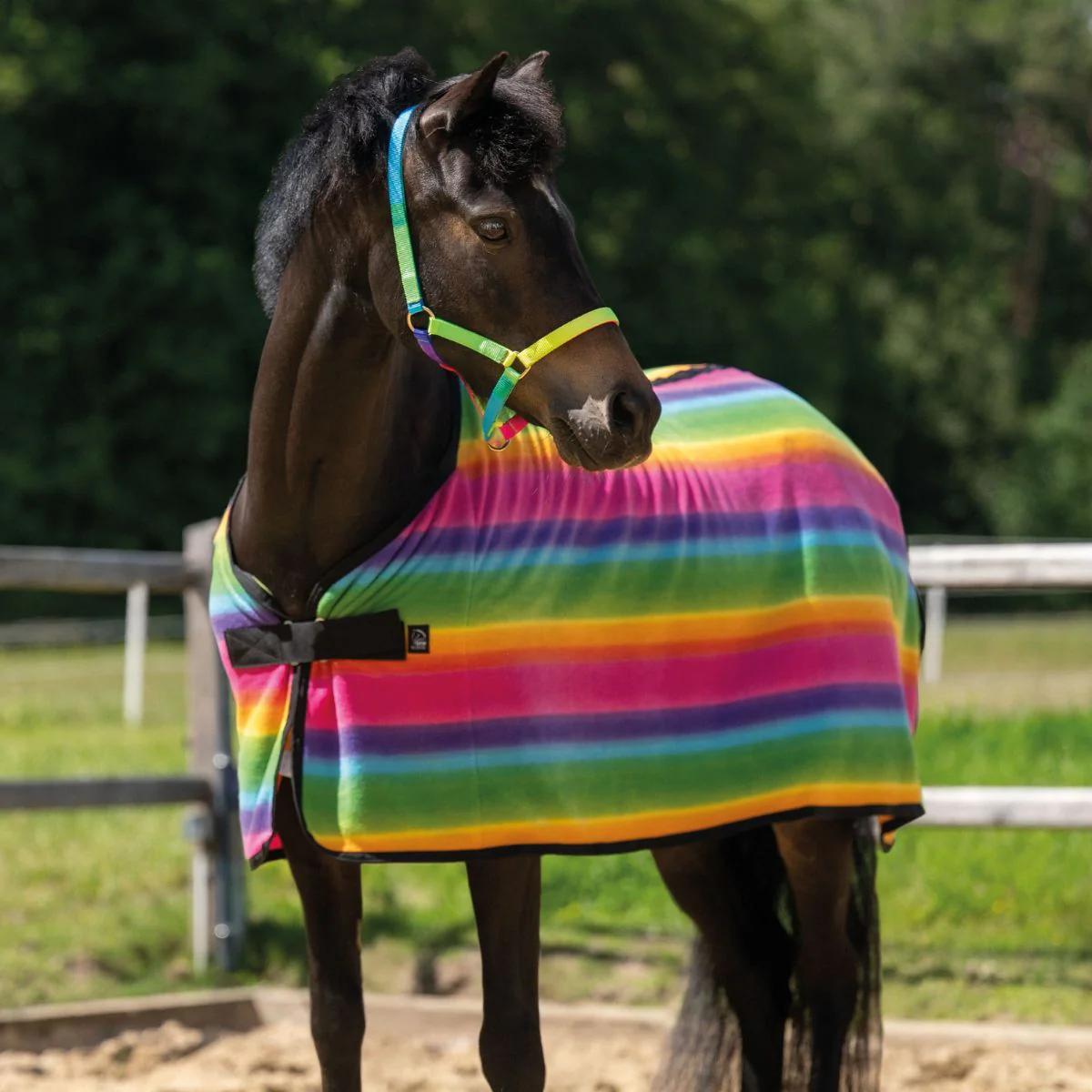 Couverture séchante poney - Rainbow