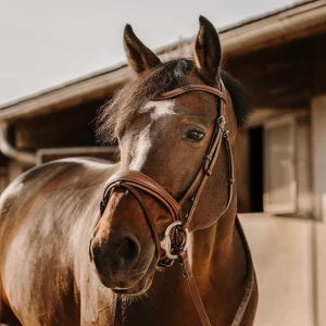 Filet ERIC THOMAS - Visby