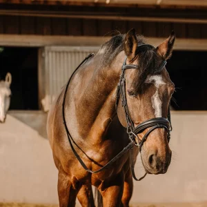 Filet ERIC THOMAS - Bat