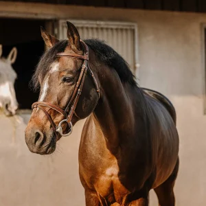 Filet ERIC THOMAS - Crown