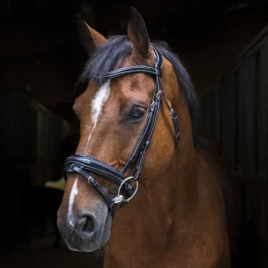 Filet ERIC THOMAS - Design