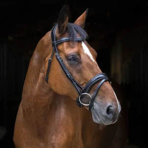 Filet ERIC THOMAS - Wave