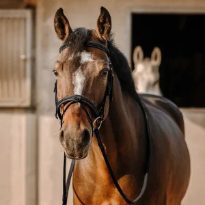 Filet ERIC THOMAS - Work