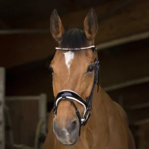 Filet NORTON - Bella