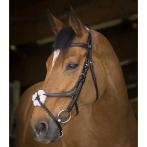 Filet NORTON - Muserolle croisée