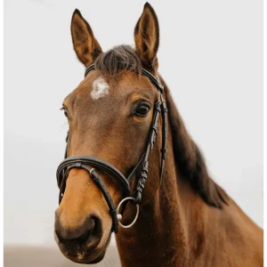 Filet NORTON - Square