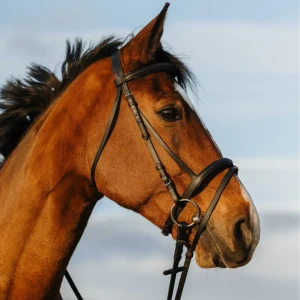 Filet RIDING WORLD - Double muserolle