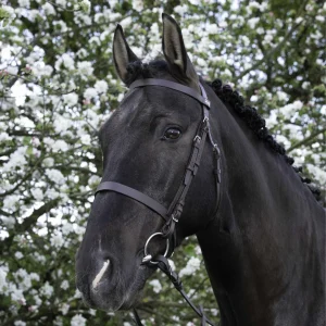 Filet RIDING WORLD - Muserolle française