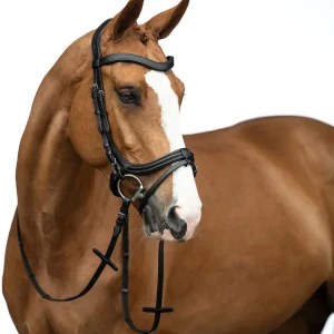 Filet anatomique - HKM