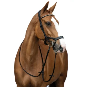 Filet anatomique - Pro