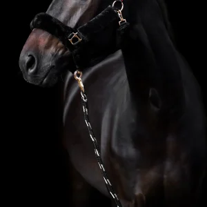 Longe Imperial Riding Go Star