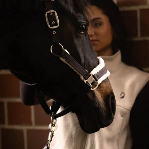 Licol-Arezzo-3.jpgv1760098547 Licol - Arezzo