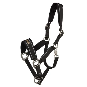 Licol-BACK-ON-TRACK-Reflechissant-1.jpgv1750754391 Licol BACK ON TRACK - Réfléchissant