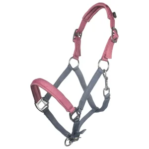 Licol-Barnie-1.jpgv1756403742 Licol - Barnie