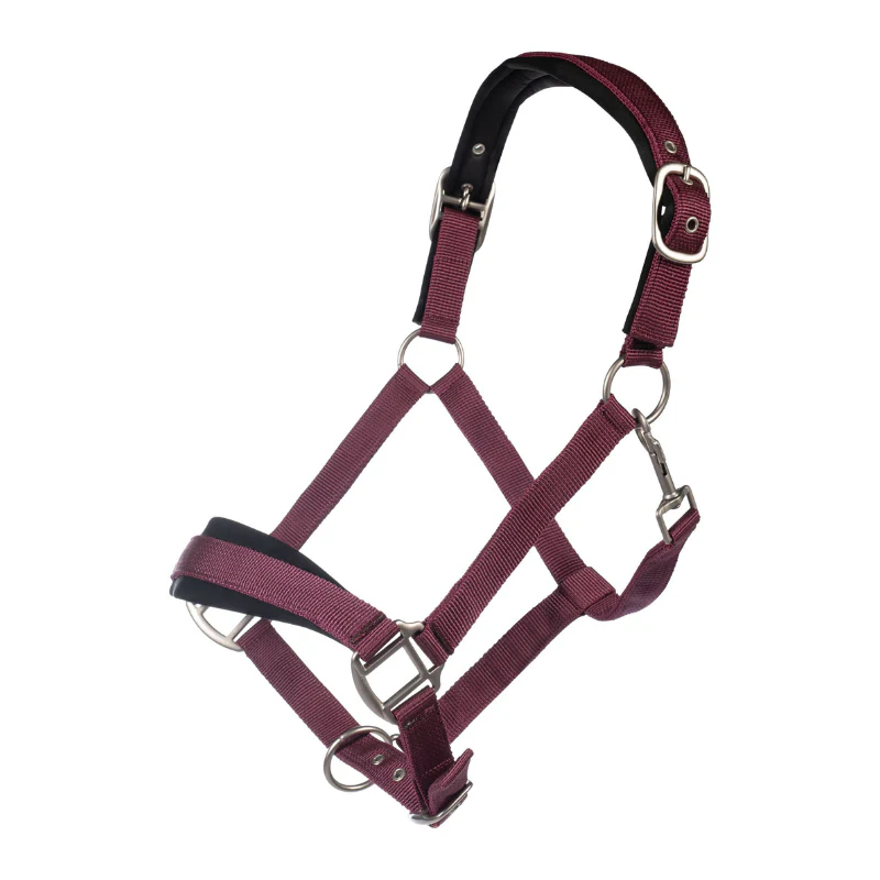 Licol HKM Samantha – Image 2