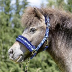 Licol poney HKM - Heart Bleu