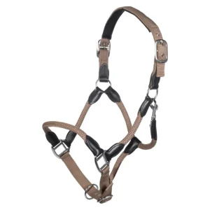 Licol-cheval-carlotta-8.pngv1731879336 Licol Carlotta HKM