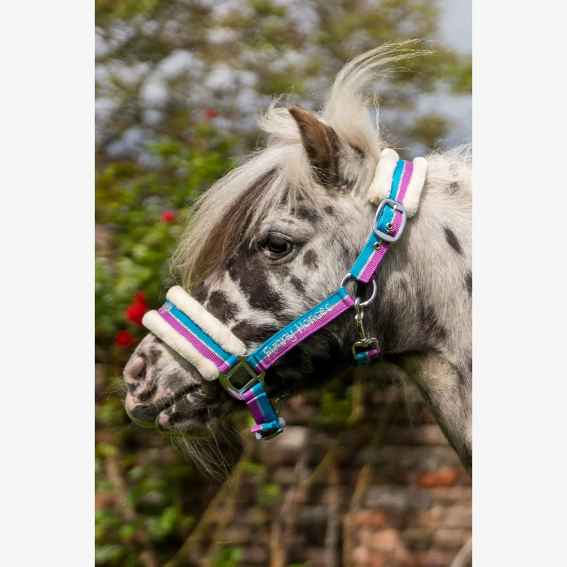 Licol poney HKM Funny Horses