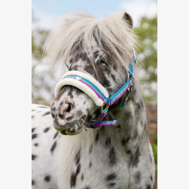 Licol poney HKM Funny Horses – Image 2