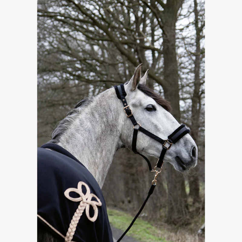 Licol HKM Rosegold Glamour – Image 5