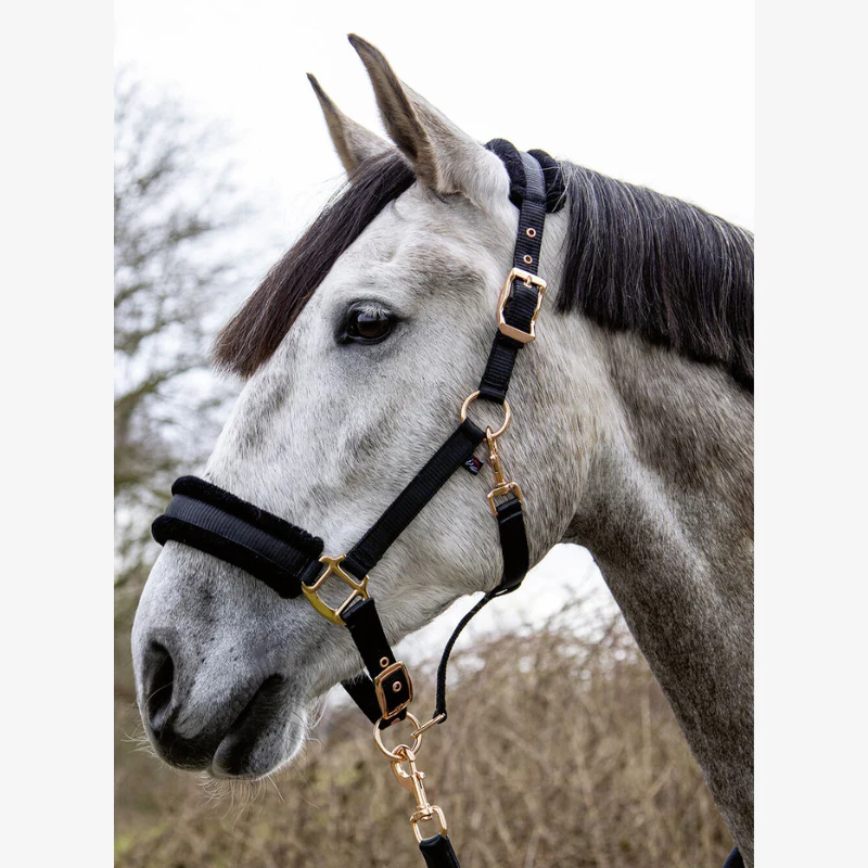 Licol HKM Rosegold Glamour – Image 4