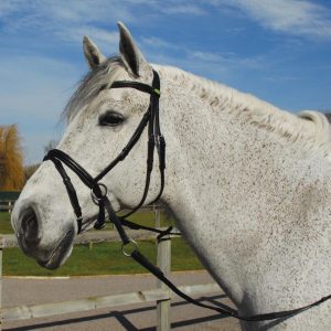 Rhinegold Bridon sans Mors