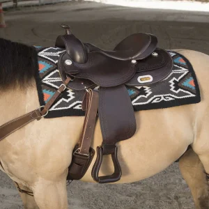 Selle-Westride-by-Franck-Perret-Arvada-2.jpgv1752001047 Selle Westride by Franck Perret - Arvada