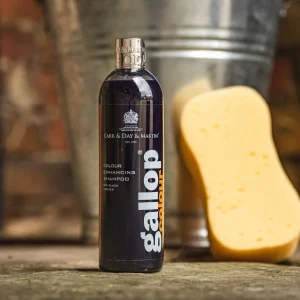 Shampoing Gallop® CARR & DAY & MARTIN Noir