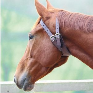 Shires Collier Anti Tiquer