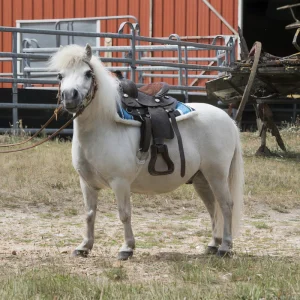 Tapis navajo poney matelassé