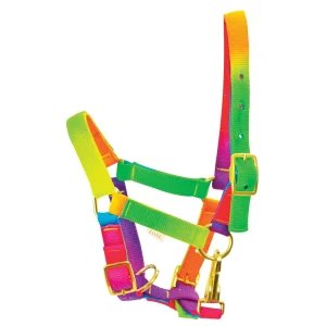 Tattini Licol Multicouleur