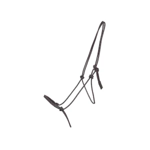 TdeT Licol Ethologique Pro