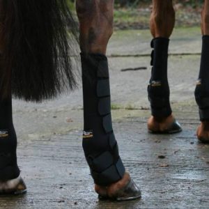 Westropp Guetres de Paddock Poney