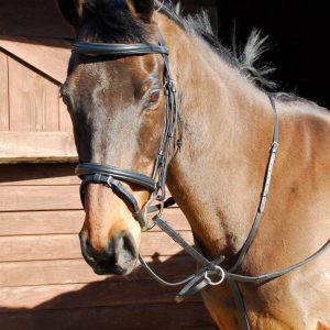 Windsor Martingale a Anneaux