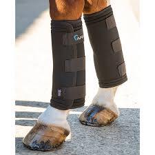 Arma Guetres Therpeutique